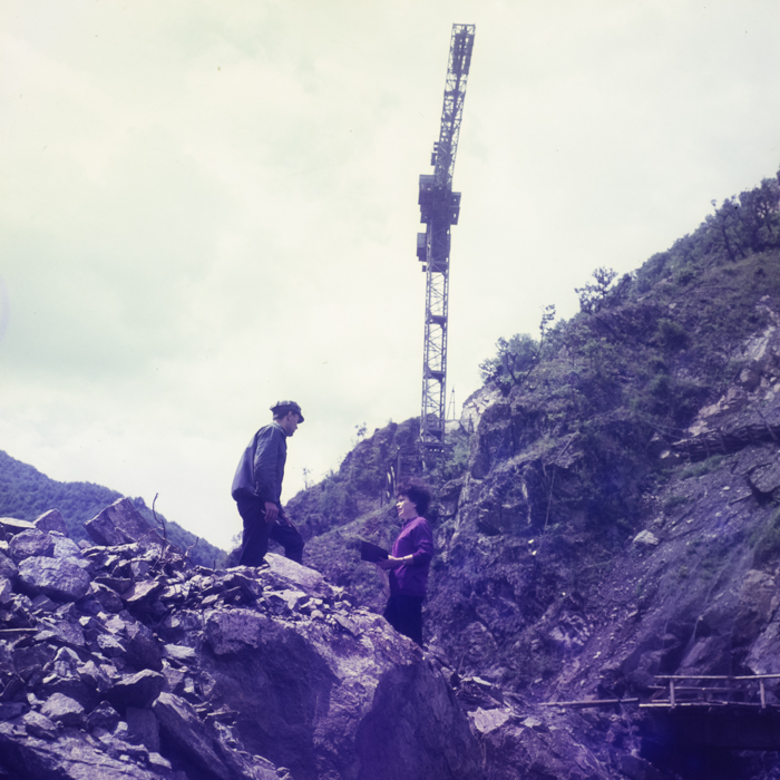 minerva_dn_1971_506_reproducere_tarnita_0005