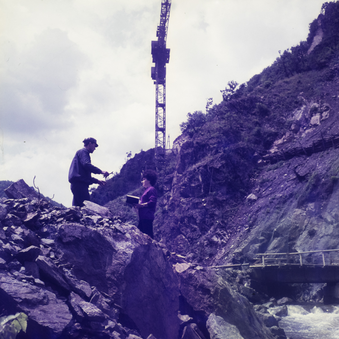 minerva_dn_1971_506_reproducere_tarnita_0006