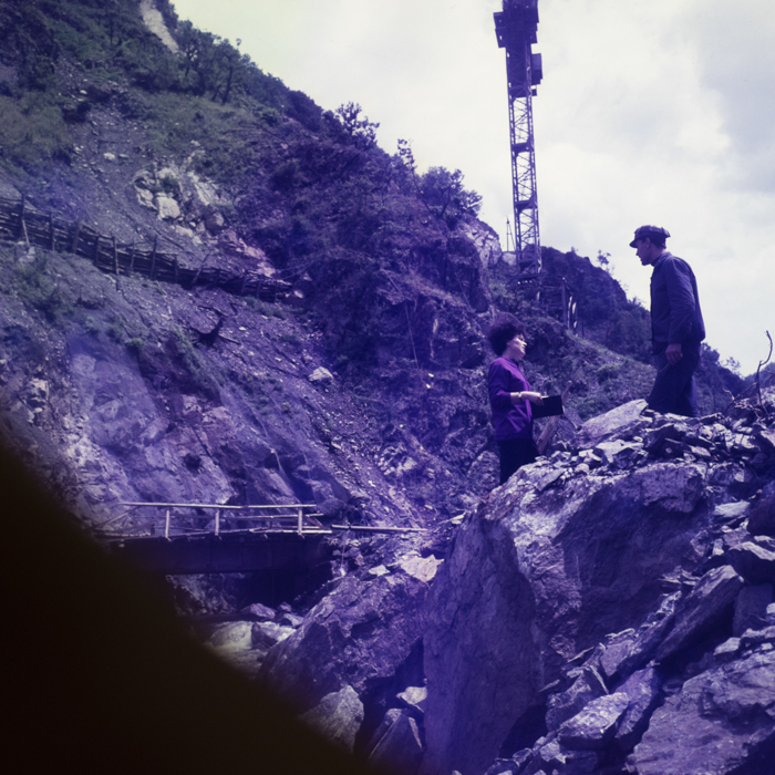 minerva_dn_1971_506_reproducere_tarnita_0007