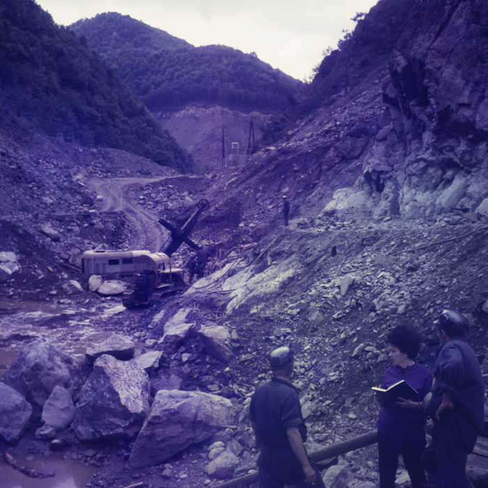 minerva_dn_1971_506_reproducere_tarnita_0008