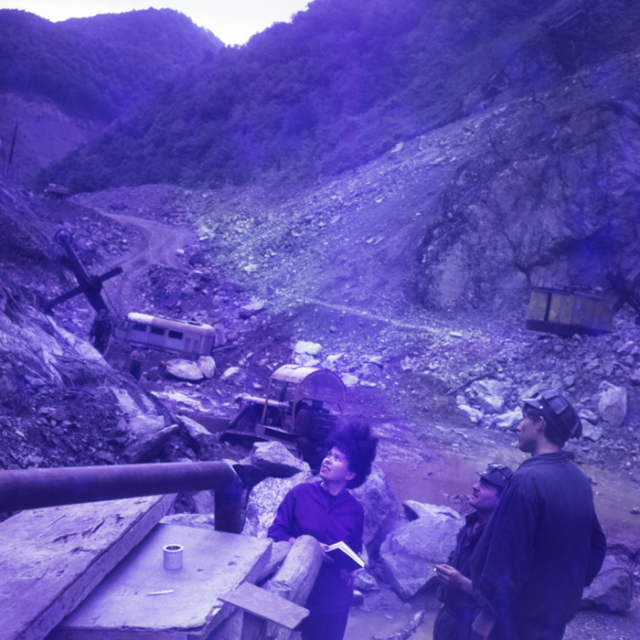 minerva_dn_1971_506_reproducere_tarnita_0009