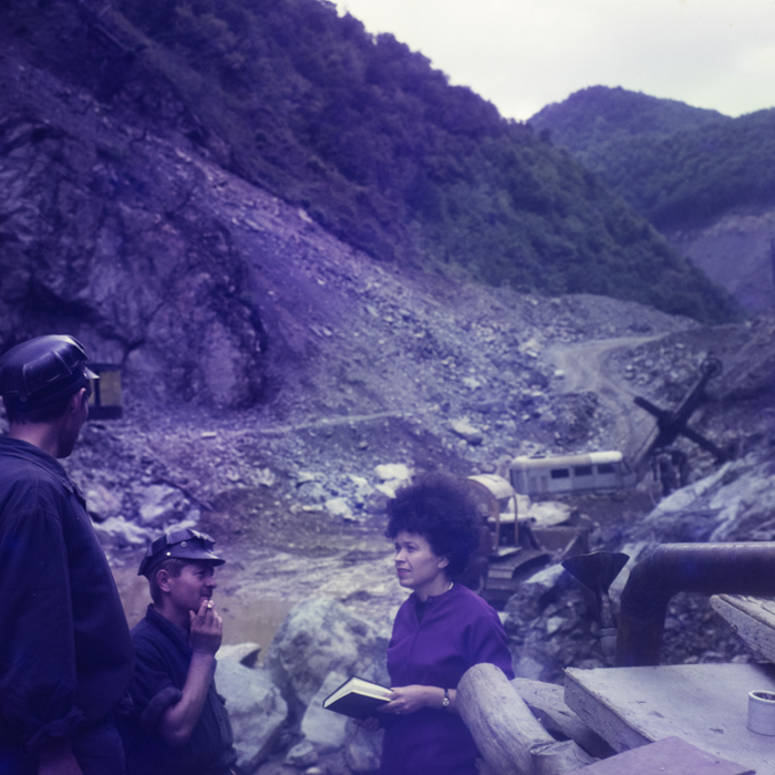 minerva_dn_1971_506_reproducere_tarnita_0010