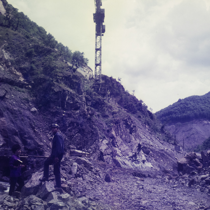 minerva_dn_1971_506_reproducere_tarnita_0011