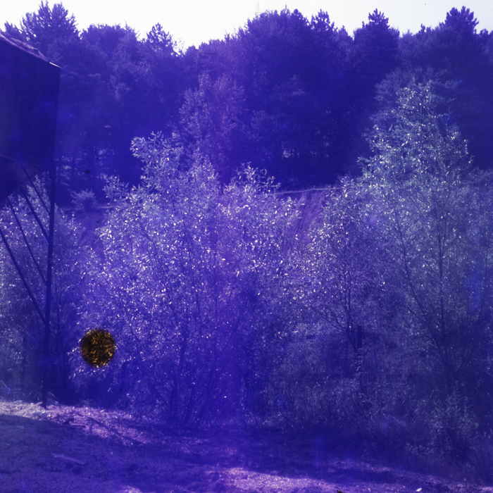 minerva_dn_1971_507_agricultura_rebreanu_nora_003