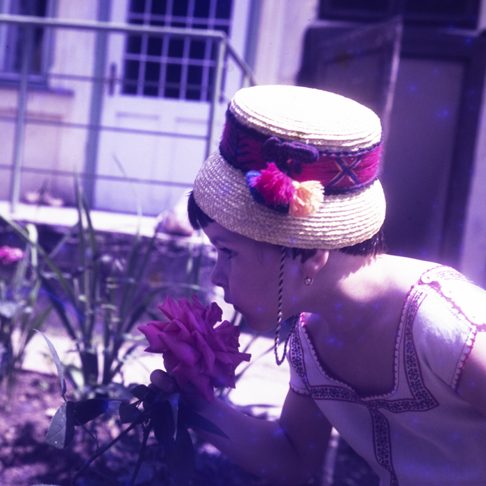 minerva_dn_1971_507_agricultura_rebreanu_nora_011