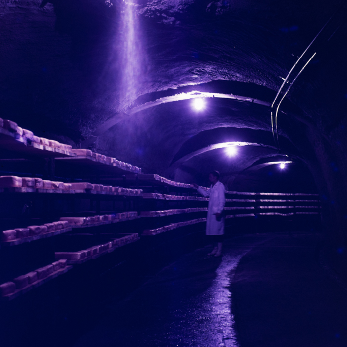 minerva_dn_1971_512_fabrica_de_produceri_lactate003