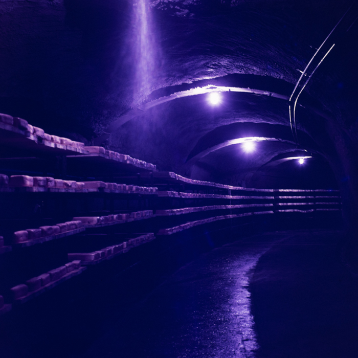 minerva_dn_1971_512_fabrica_de_produceri_lactate005