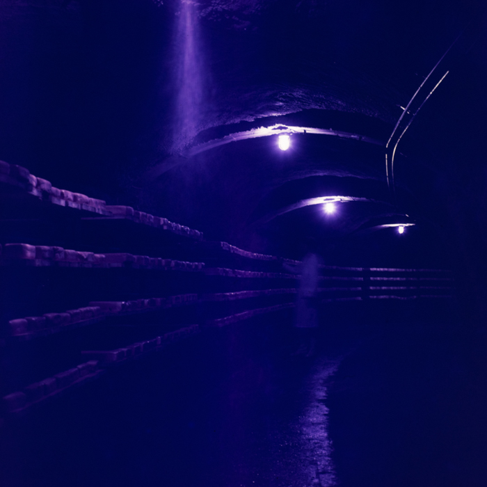 minerva_dn_1971_512_fabrica_de_produceri_lactate007