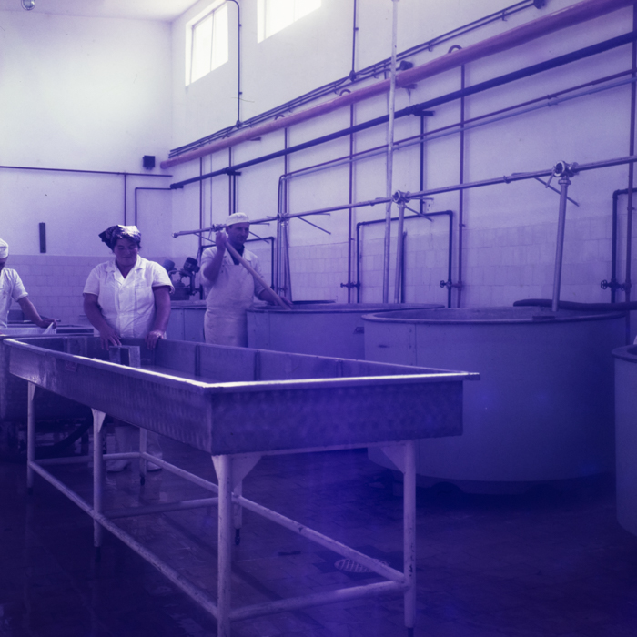 minerva_dn_1971_512_fabrica_de_produceri_lactate008