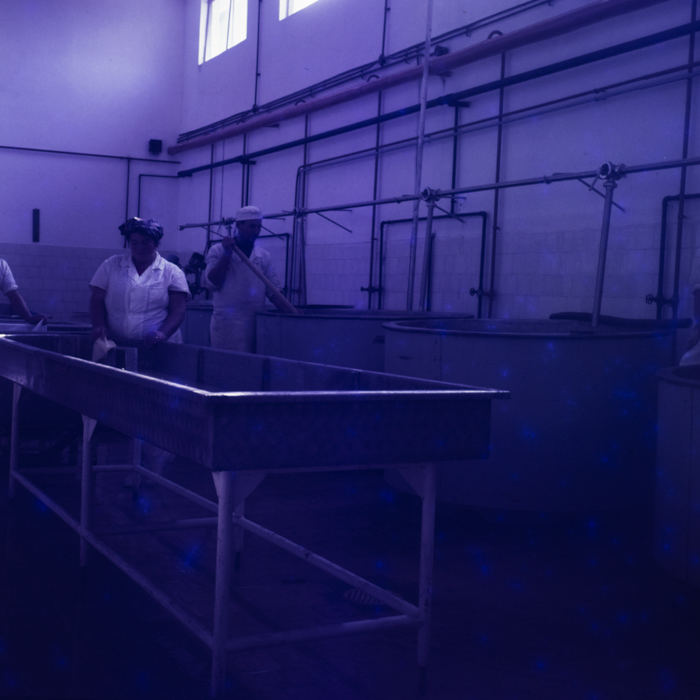 minerva_dn_1971_512_fabrica_de_produceri_lactate012