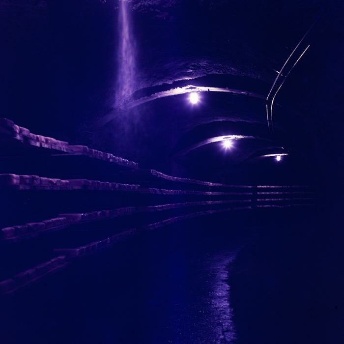 minerva_dn_1971_512_fabrica_de_produceri_lactate013