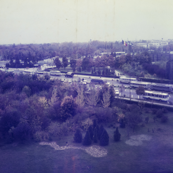 minerva_dn_1971_520_expo_71_bucuresti_zarzavaturi_002