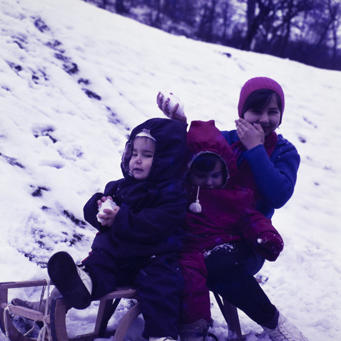 minerva_dn_1971_524_tarnita_003