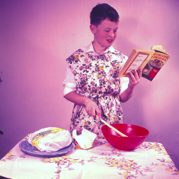 minerva_dn_1972_249_retete_bucatarie_gyurika_reproduceri_002