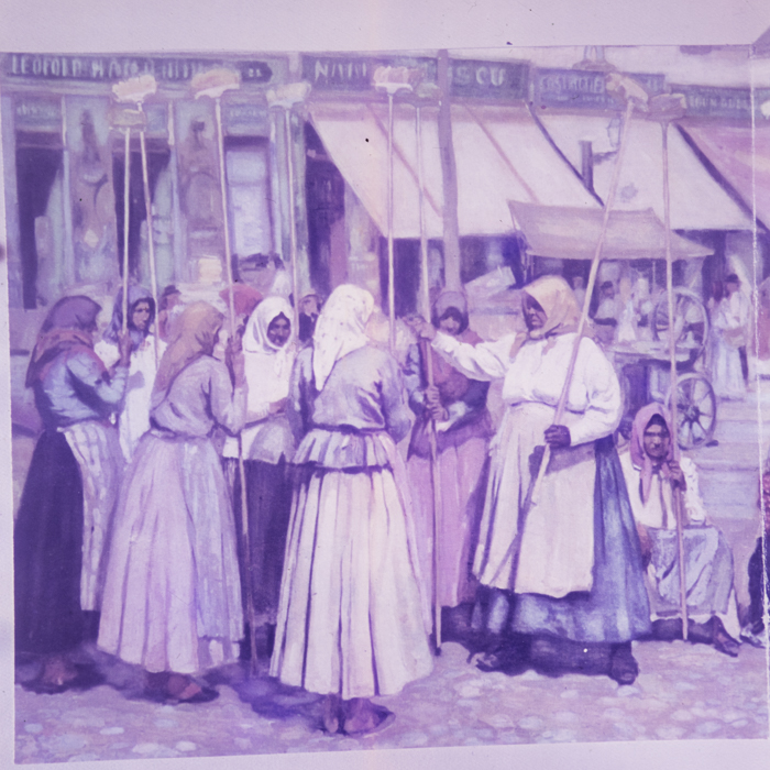 minerva_dn_1972_525_reproduceri_002