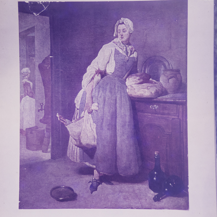 minerva_dn_1972_525_reproduceri_003