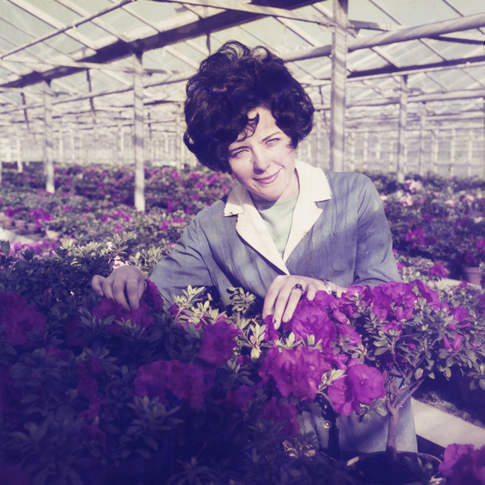 minerva_dn_1972_526_statiunea_experimentala_cluj_palocsai_005