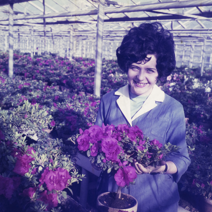 minerva_dn_1972_526_statiunea_experimentala_cluj_palocsai_009