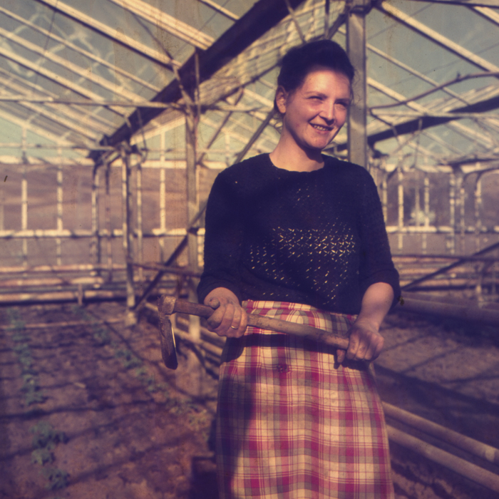 minerva_dn_1972_529_cap_acatari_002-2