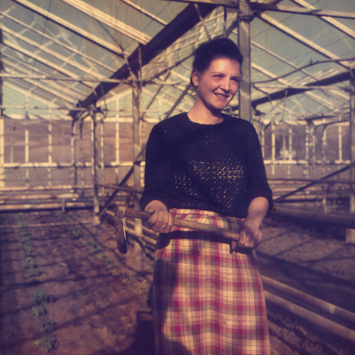 minerva_dn_1972_529_cap_acatari_002