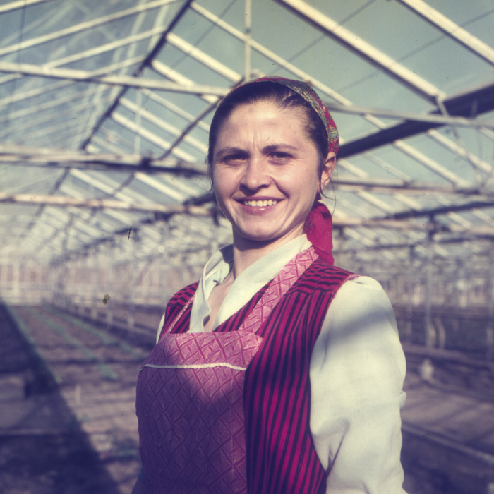 minerva_dn_1972_529_cap_acatari_005-2