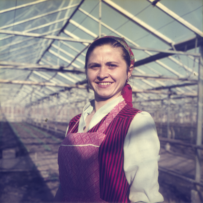 minerva_dn_1972_529_cap_acatari_005