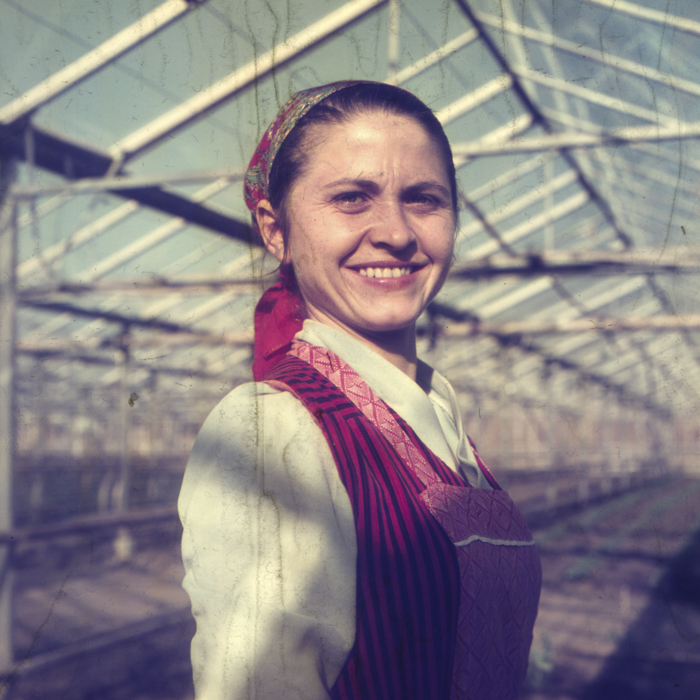 minerva_dn_1972_529_cap_acatari_014