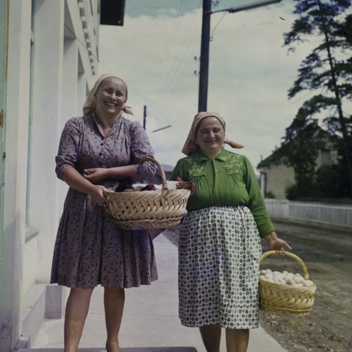 minerva_dn_1972_574_reclama_cooperatie_gilau_contractari_achizitii_007