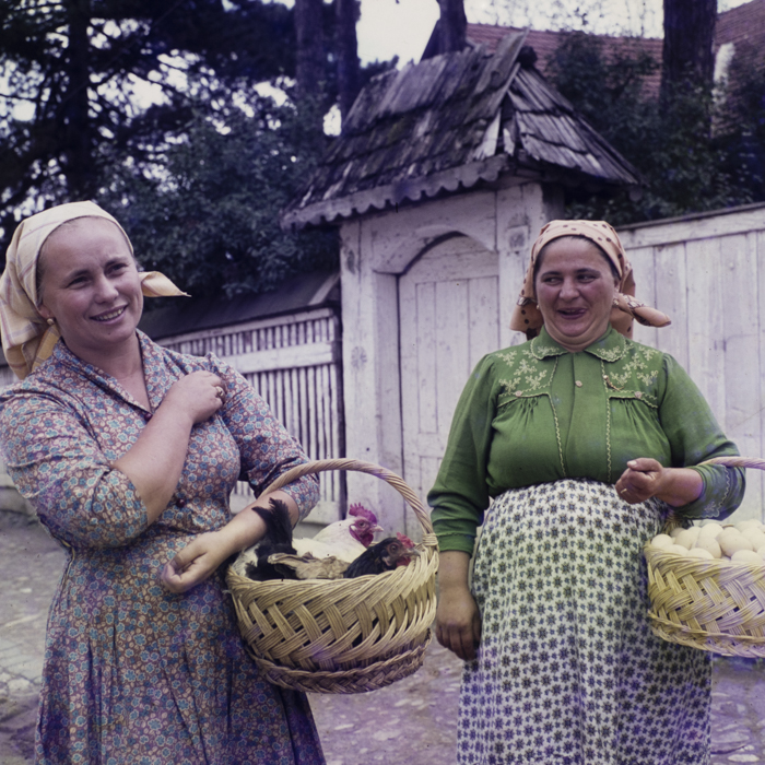 minerva_dn_1972_574_reclama_cooperatie_gilau_contractari_achizitii_008