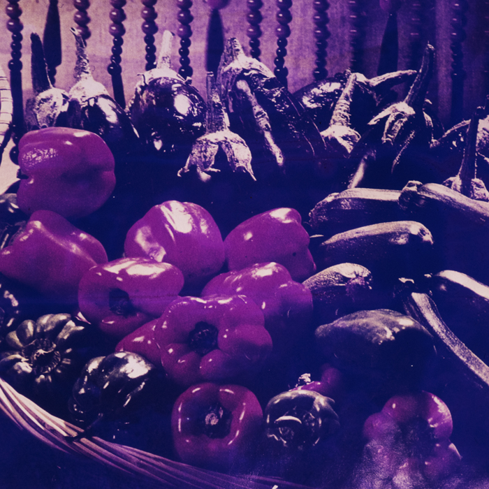 minerva_dn_1972_577_reproduceri_urda_retete_009