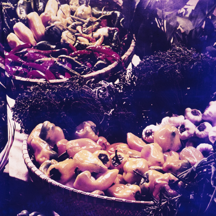 minerva_dn_1972_577_reproduceri_urda_retete_010