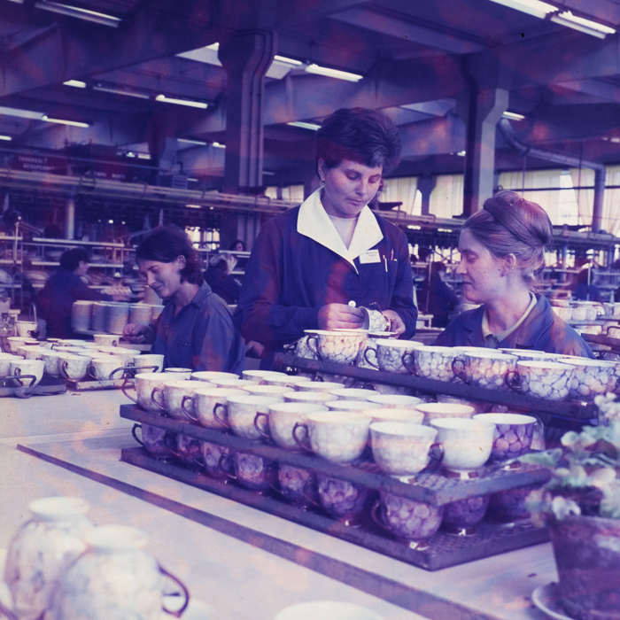 minerva_dn_1972_578_iris_cluj_001