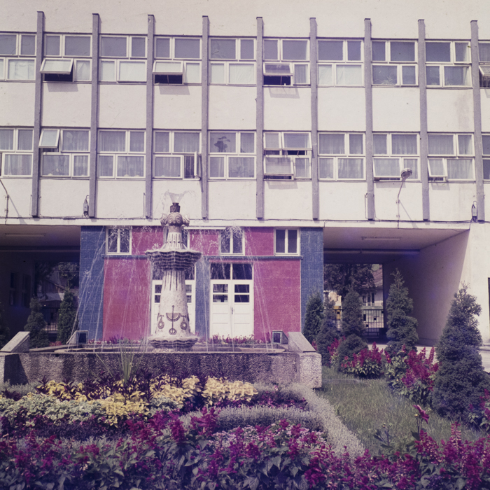 minerva_dn_1972_578_iris_cluj_004