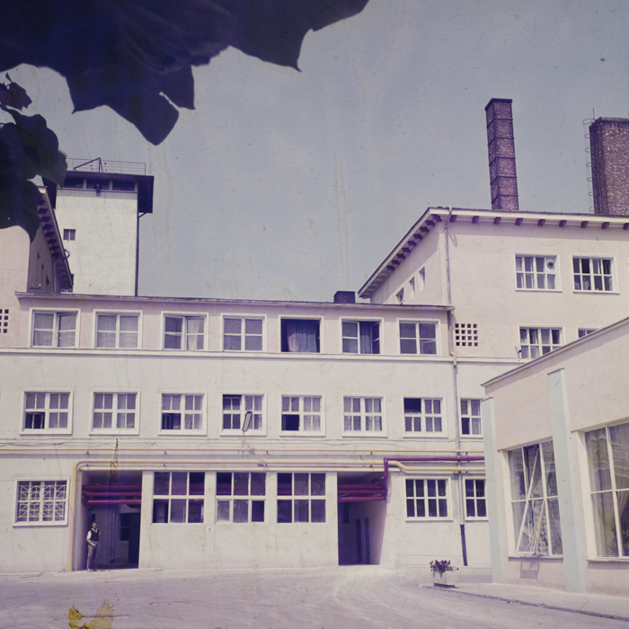 minerva_dn_1972_578_iris_cluj_005