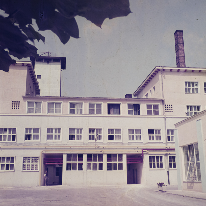 minerva_dn_1972_578_iris_cluj_006