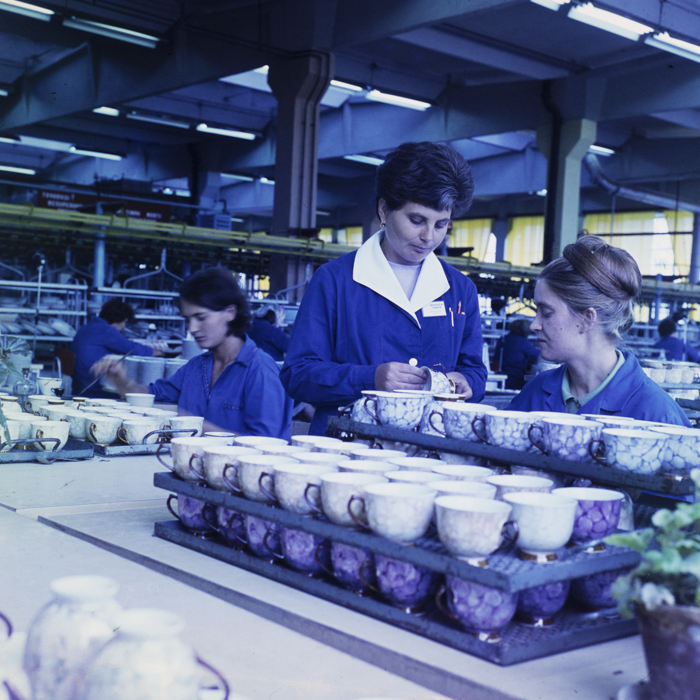 minerva_dn_1972_578_iris_cluj_015