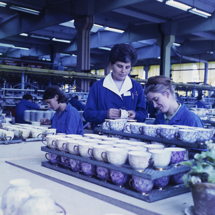 minerva_dn_1972_578_iris_cluj_018