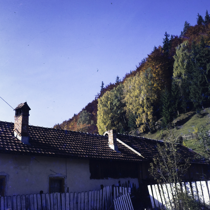 minerva_dn_1972_584_rucar_bran_pitesti_006