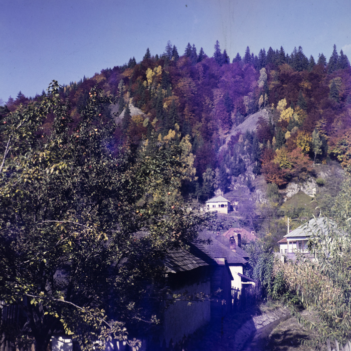 minerva_dn_1972_584_rucar_bran_pitesti_011