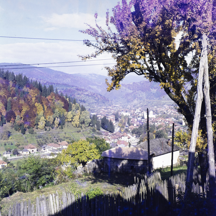 minerva_dn_1972_584_rucar_bran_pitesti_016