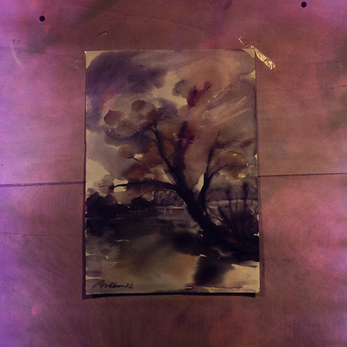 minerva_dn_1972_590_reproduceri_arta_plastica_001