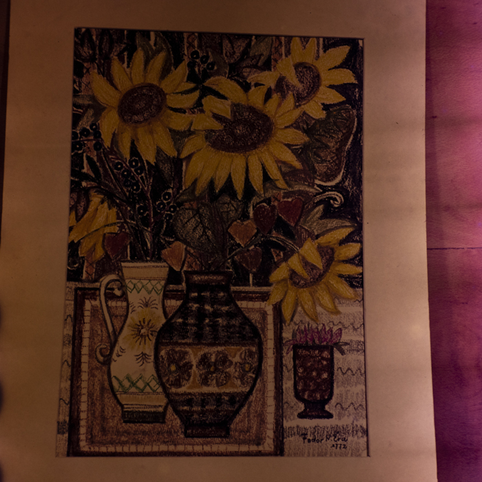 minerva_dn_1972_590_reproduceri_arta_plastica_005