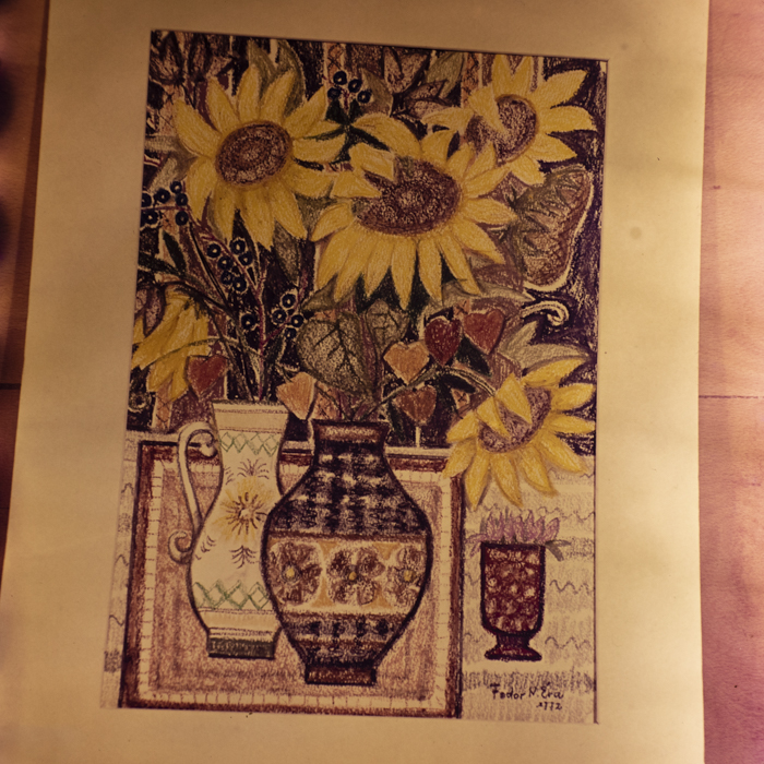 minerva_dn_1972_590_reproduceri_arta_plastica_006