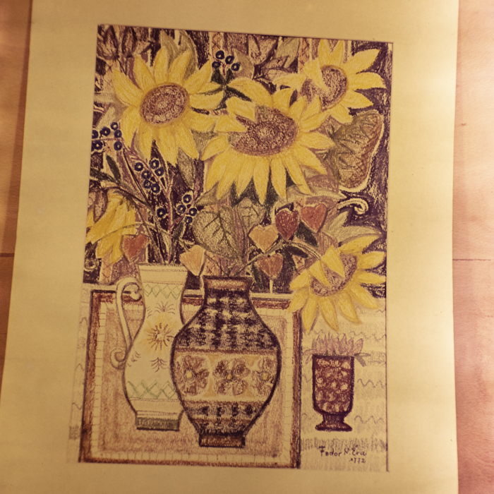 minerva_dn_1972_590_reproduceri_arta_plastica_007