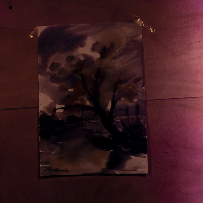 minerva_dn_1972_590_reproduceri_arta_plastica_011