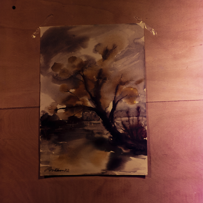 minerva_dn_1972_590_reproduceri_arta_plastica_012