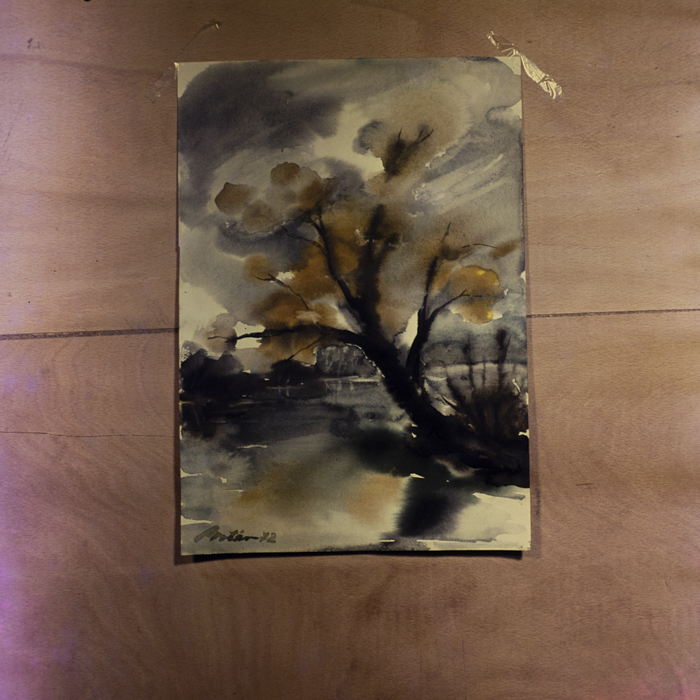 minerva_dn_1972_590_reproduceri_arta_plastica_019