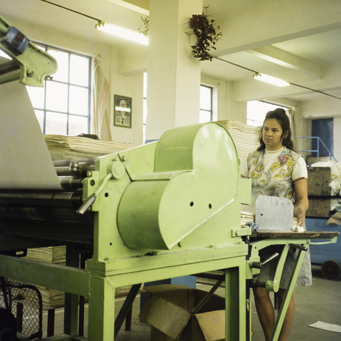 minerva_dn_1972_593_prodcomplex_tg_mures_003