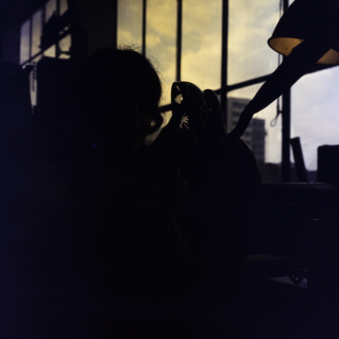 minerva_dn_1972_593_prodcomplex_tg_mures_007