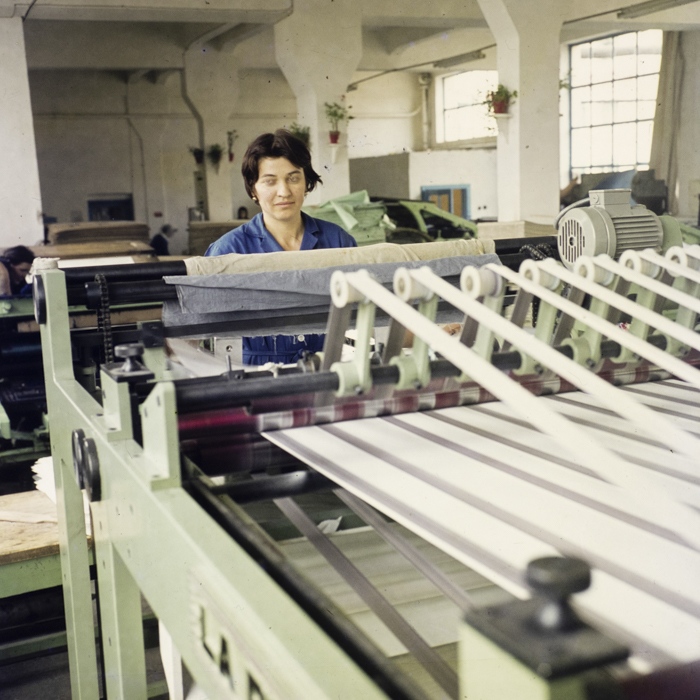 minerva_dn_1972_597_mucart_cluj_005